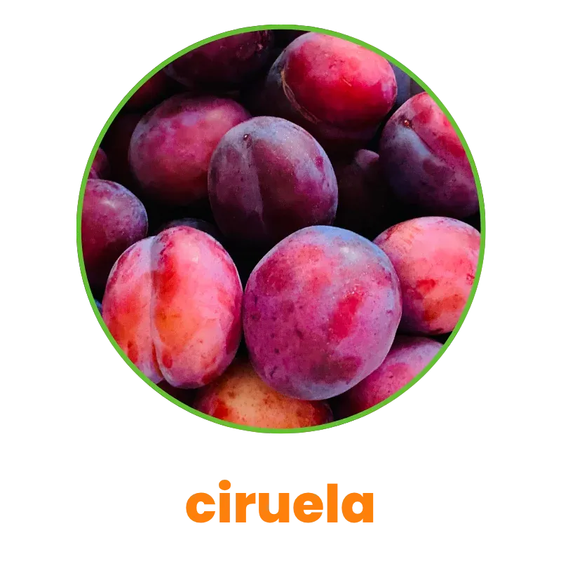 Ciruela