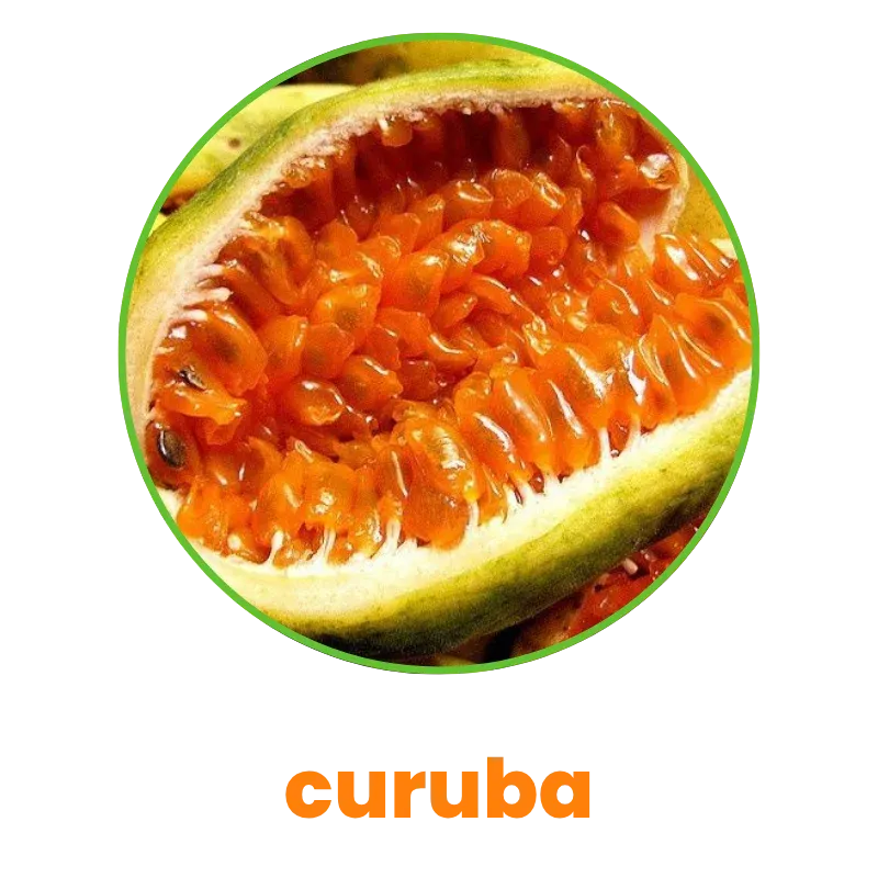 Curuba