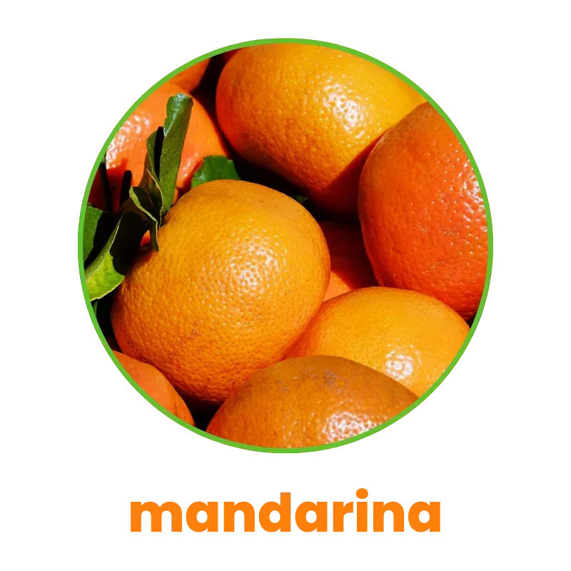 Mandarina